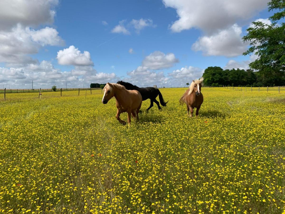 Mobilhome Sous Chalet En Bois A La Ferme Josnes المظهر الخارجي الصورة